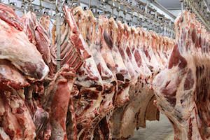 EXPOMEAT 2019 Frigoríficos de carne bovina mato-grossenses iniciaram 2018 com aumento no uso da capacidade e elevação dos abates, segundo informações divulgadas pelo Instituto Mato-Grossense de Economia...