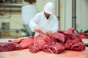 EXPOMEAT 2019 Os abates de bovinos no Brasil somaram 30,83 milhões de cabeças no ano passado, alta de 3,8% ante 2016, o primeiro crescimento anual após três anos consecutivos de queda, segundo dados divulgados pelo...