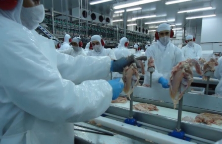 EXPOMEAT 2019 As auditorias para adesão ao Sistema Brasileiro de Inspeção de Produtos de Origem Animal (Sisbi-POA) passarão a ser feitas pelo Consórcio Intermunicipal da Serra Catarinense (Cisama). A...