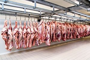 EXPOMEAT 2021 - lll Feira Internacional da Indústria de Processamento de Proteína Animal e Vegetal A Minerva irá retomar as atividades na sua unidade de abate de bovinos em Várzea Grande (MT) na próxima segunda-feira (24),...