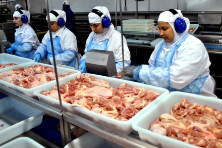 EXPOMEAT 2021 - lll Feira Internacional da Indústria de Processamento de Proteína Animal e Vegetal O mercado frigorífico é uma das frentes que mais empregam colaboradores para trabalhos manuais em nosso país. Além...