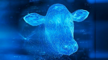 EXPOMEAT 2021 - lll Feira Internacional da Indústria de Processamento de Proteína Animal e Vegetal Tivemos a notícia de uma alta histórica no preço da arroba do boi gordo, devido a guerra comercial entre China/Estados Unidos...