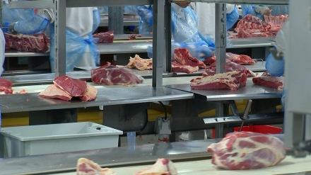 EXPOMEAT 2021 - lll Feira Internacional da Indústria de Processamento de Proteína Animal e Vegetal De acordo com a associação que representa os frigoríficos, chineses compraram 126% a mais na comparação com o...