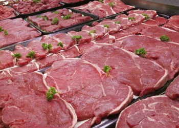 EXPOMEAT 2022 - lll Feira Internacional da Indústria de Processamento de Proteína Animal e Vegetal Portal DBO As exportações de carne bovina in natura referentes aos dez primeiros dias úteis de fevereiro totalizaram...