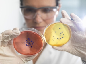 EXPOMEAT 2021 - lll Feira Internacional da Indústria de Processamento de Proteína Animal e Vegetal A BRF anunciou que vai apresentar as 16 tecnologias selecionadas na primeira edição do “EMERGE Labs BRF”, programa de...