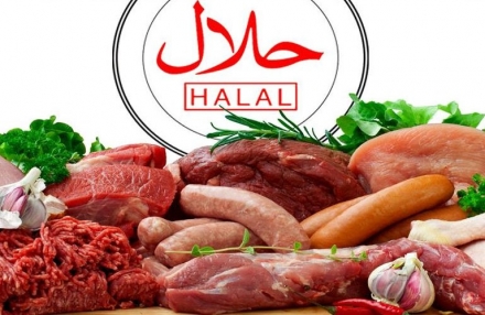 EXPOMEAT 2021 - lll Feira Internacional da Indústria de Processamento de Proteína Animal e Vegetal Em meio à turbulência do atual cenário, o mercado halal segue em expansão. Para a Organização da ONU para...