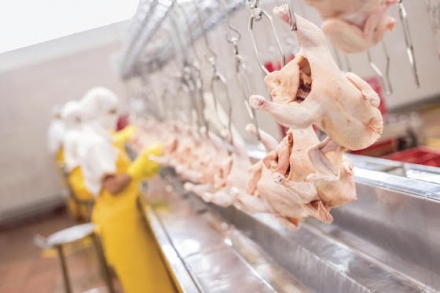 EXPOMEAT 2022 - lll Feira Internacional da Indústria de Processamento de Proteína Animal e Vegetal A Lar Cooperativa Agroindustrial irá ampliar sua capacidade de abates de frango a partir de setembro após fechar contrato de...