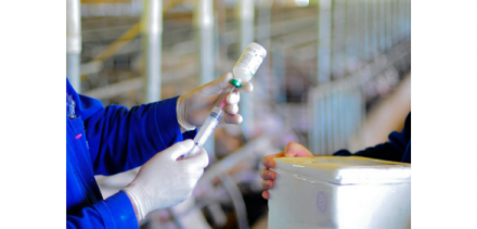 EXPOMEAT 2021 (Foto: Jairo Backes/Embrapa Suínos e Aves) A Embrapa e o National Centers for Animal Health (NCAH), vinculado ao Agricultural Research Service (ARS) dos Estados Unidos, acabam de formalizar um acordo de...