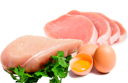 EXPOMEAT 2021 - lll Feira Internacional da Indústria de Processamento de Proteína Animal e Vegetal A produção, as exportações e o consumo per capita de carne de frango, carne suína e de ovos devem encerrar 2020...