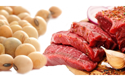 EXPOMEAT 2021 - lll Feira Internacional da Indústria de Processamento de Proteína Animal e Vegetal Alcançando a segunda melhor marca histórica, o agronegócio brasileiro gerou uma receita de US$ 100,8 bilhões em 2020,...