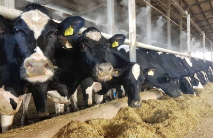EXPOMEAT 2022 - lll Feira Internacional da Indústria de Processamento de Proteína Animal e Vegetal O Valor Bruto da Produção Agropecuária (VBP) está estimado em R$ 1,002 trilhão para este ano de 2021, informou...