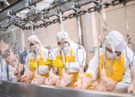 EXPOMEAT 2022 - lll Feira Internacional da Indústria de Processamento de Proteína Animal e Vegetal Os abates brasileiros de frangos e suínos foram recordes em 2020, enquanto os de bovinos caiu pela primeira vez em três anos, segundo...