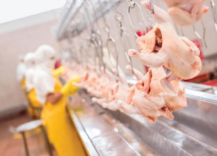 EXPOMEAT 2021 - lll Feira Internacional da Indústria de Processamento de Proteína Animal e Vegetal Conheça outras notícias do setor: www.carnetec.com.br A Companhia Nacional de Abastecimento (Conab) estima que a...