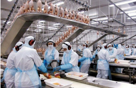 EXPOMEAT 2022 - lll Feira Internacional da Indústria de Processamento de Proteína Animal e Vegetal Empresas da cadeia de carne instaladas no Paraná tocam projetos para expandir a produção, já tendo em vista a abertura...