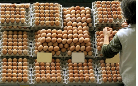 EXPOMEAT 2022 - lll Feira Internacional da Indústria de Processamento de Proteína Animal e Vegetal A produção de ovos de galinha e o abate de frangos atingiram números históricos na Bahia no primeiro trimestre de...