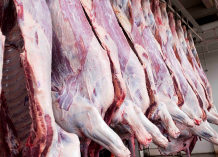 EXPOMEAT 2022 - lll Feira Internacional da Indústria de Processamento de Proteína Animal e Vegetal A estimativa do Valor Bruto da Produção Agropecuária (VBP) de 2021 é de R$ 1,099 trilhão, 10,5% acima do valor...