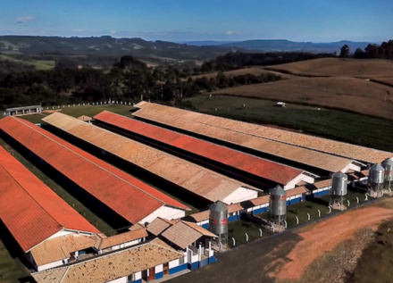 EXPOMEAT 2021 - lll Feira Internacional da Indústria de Processamento de Proteína Animal e Vegetal Pamplona Alimentos pretende elevar sua capacidade de abates de suínos nas plantas próprias em 48%, informou a empresa à...