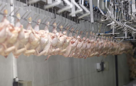 EXPOMEAT 2022 - lll Feira Internacional da Indústria de Processamento de Proteína Animal e Vegetal O estado de Santa Catarina exportou 775,6 mil toneladas de carnes no primeiro semestre de 2021, gerando faturamento de US$ 1,5 bilhão, 5,6%...