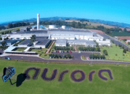 EXPOMEAT 2022 - lll Feira Internacional da Indústria de Processamento de Proteína Animal e Vegetal A Aurora Alimentos espera elevar o faturamento de seu negócio de aves em 15% em 2021 e o de suínos em 20%, informou a empresa em...