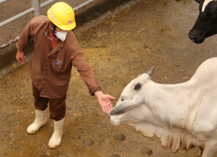 EXPOMEAT 2022 - lll Feira Internacional da Indústria de Processamento de Proteína Animal e Vegetal A Marfrig fechou um contrato com a Universidade Estadual Paulista (Unesp) para realização de pesquisa inédita que tem por...
