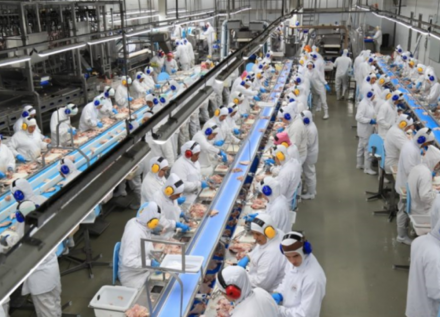 EXPOMEAT 2022 - lll Feira Internacional da Indústria de Processamento de Proteína Animal e Vegetal O Índice de Produção Agroindustrial Brasileira (PIMAgro) calculado pelo Centro de Estudos em Agronegócios da...
