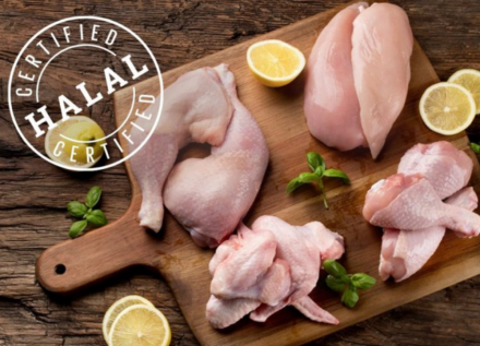 EXPOMEAT 2022 - lll Feira Internacional da Indústria de Processamento de Proteína Animal e Vegetal A produção de carne de frango no Brasil em 2021 deverá alcançar 14,5 milhões de toneladas, das quais 4,35...